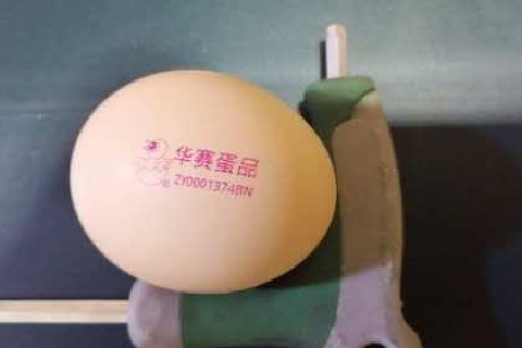 合肥尊龙凯时人生就是搏E625在鸡蛋行业的应用