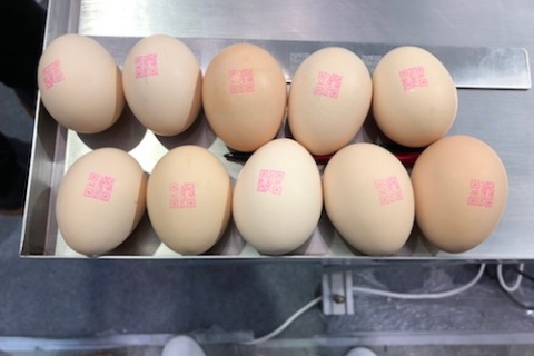 鸡蛋喷码