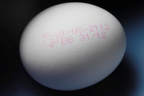 鸡蛋喷码机教您保鲜鸡蛋的5个要领