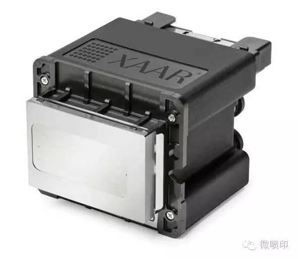beepress8-1534478260