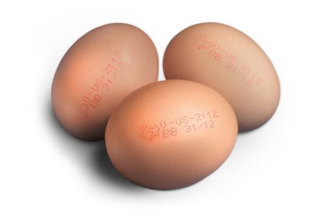 如何选择最佳的墨水在蛋壳上喷印