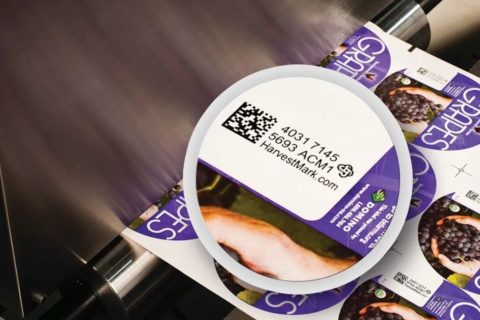 多米诺推出全新UV97BK食品包装合规黑色油墨