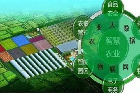 全程追溯，用数据把好农产品“生产关”