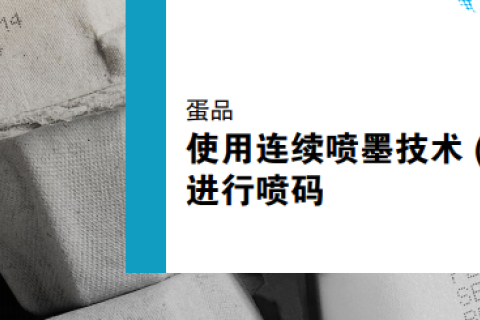 使用连续喷墨技术 (CIJ) 对蛋箱进行喷码