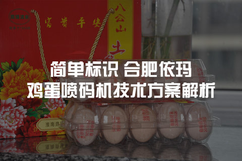 浏览全球网络，您还能找到比这个更周全的鸡蛋喷码机解决计划吗？