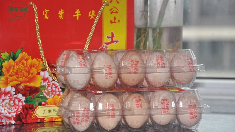 E2打印效果
