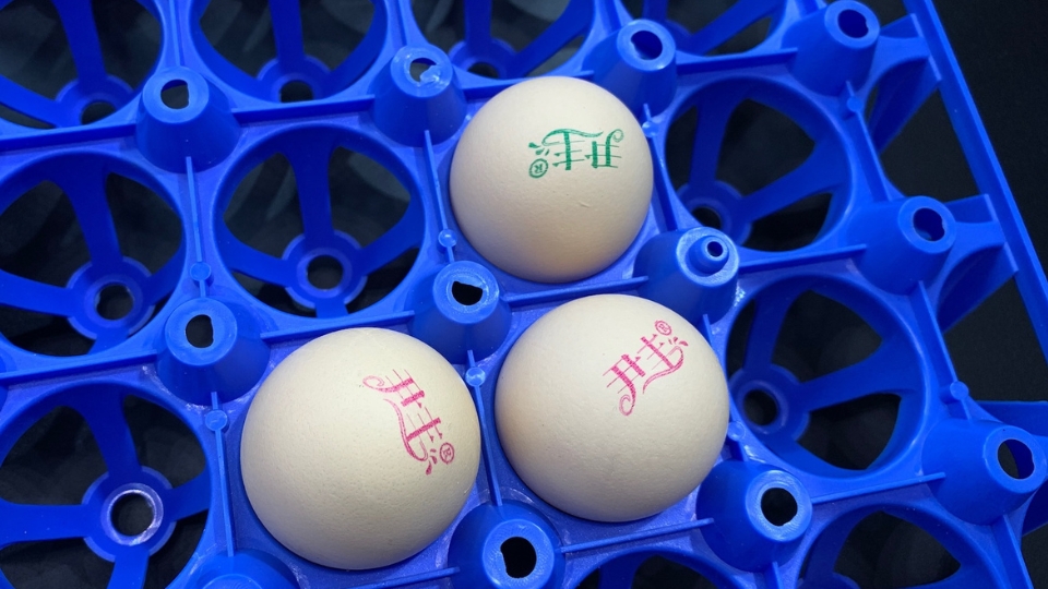 E6打印效果