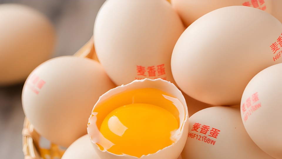 E6打印效果